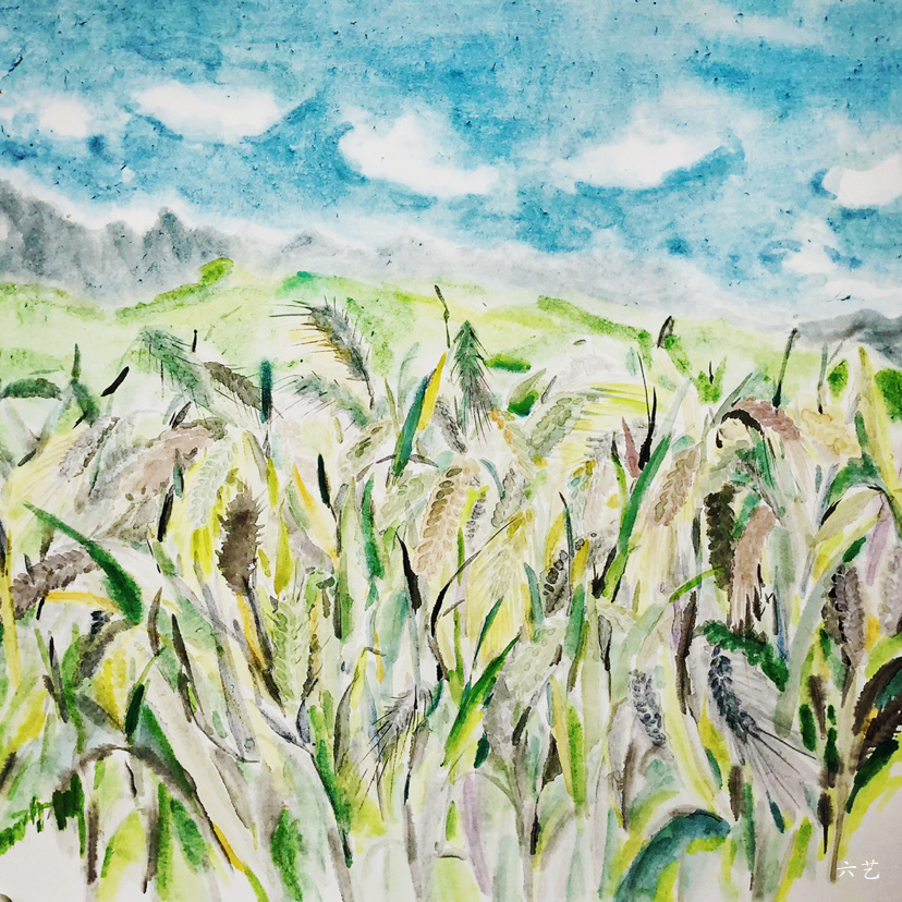 扎尕那的青稞                            国画